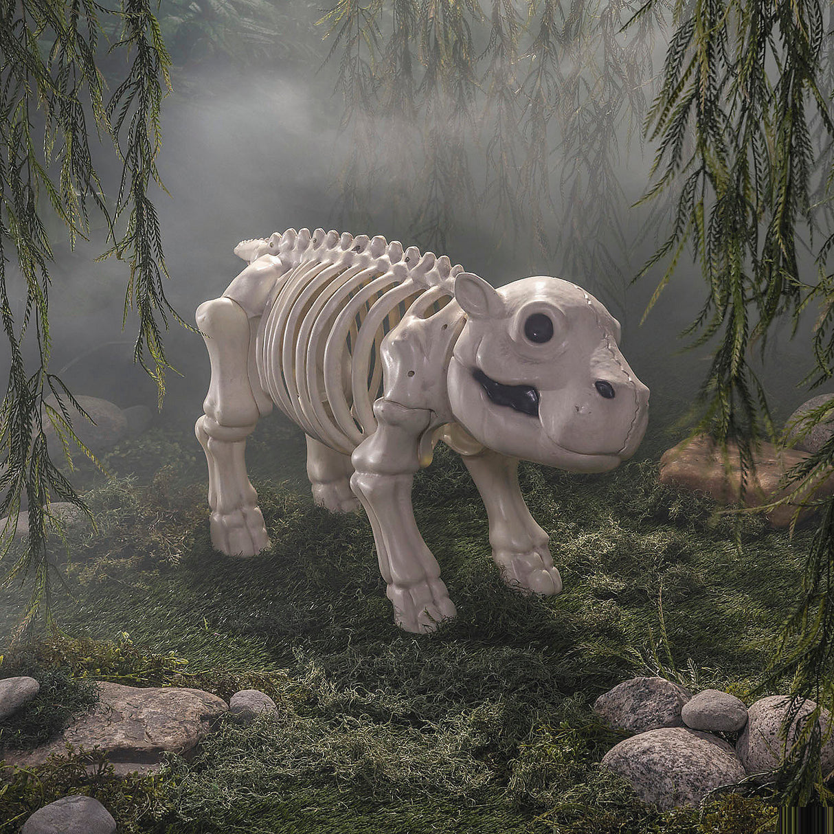Spooky 22 Inch Standing Hippo Skeleton Halloween Decoration for Haunted House Parties and Festive Events