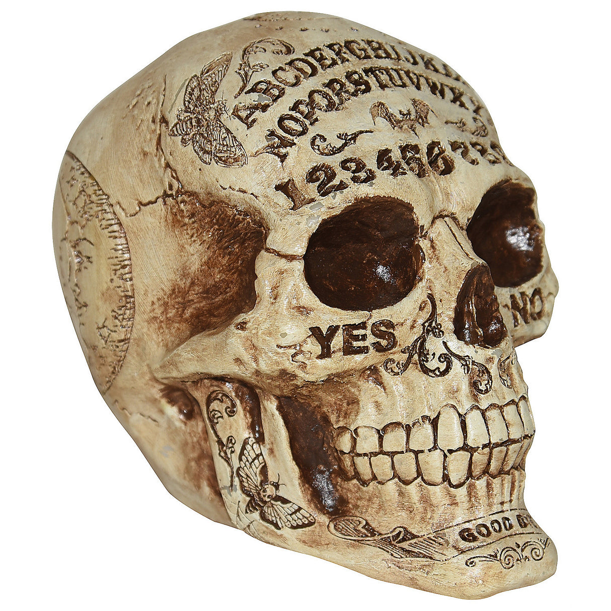Unique Fortune Teling Skull Halloween Decoration for Spooky Parties and Haunting Decor