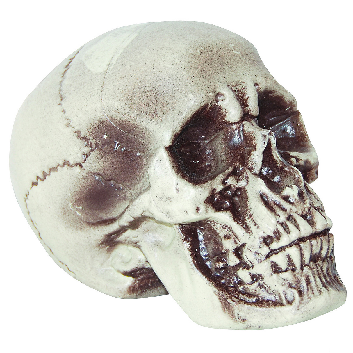 Realistic Skull Prop for Halloween Party Decorations and Haunted House Themes