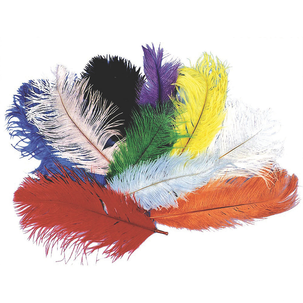 Stunning Ostrich Plumes for Theatrical Events Costume Accessories and Craft Projects
