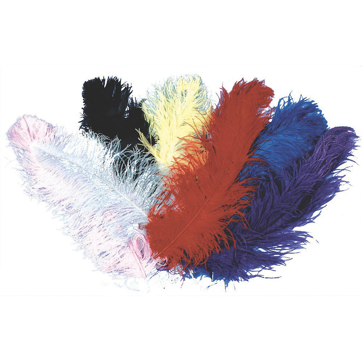Stunning Jumbo Full Ostrich Plumes for Events Parties Decorations and Costumes