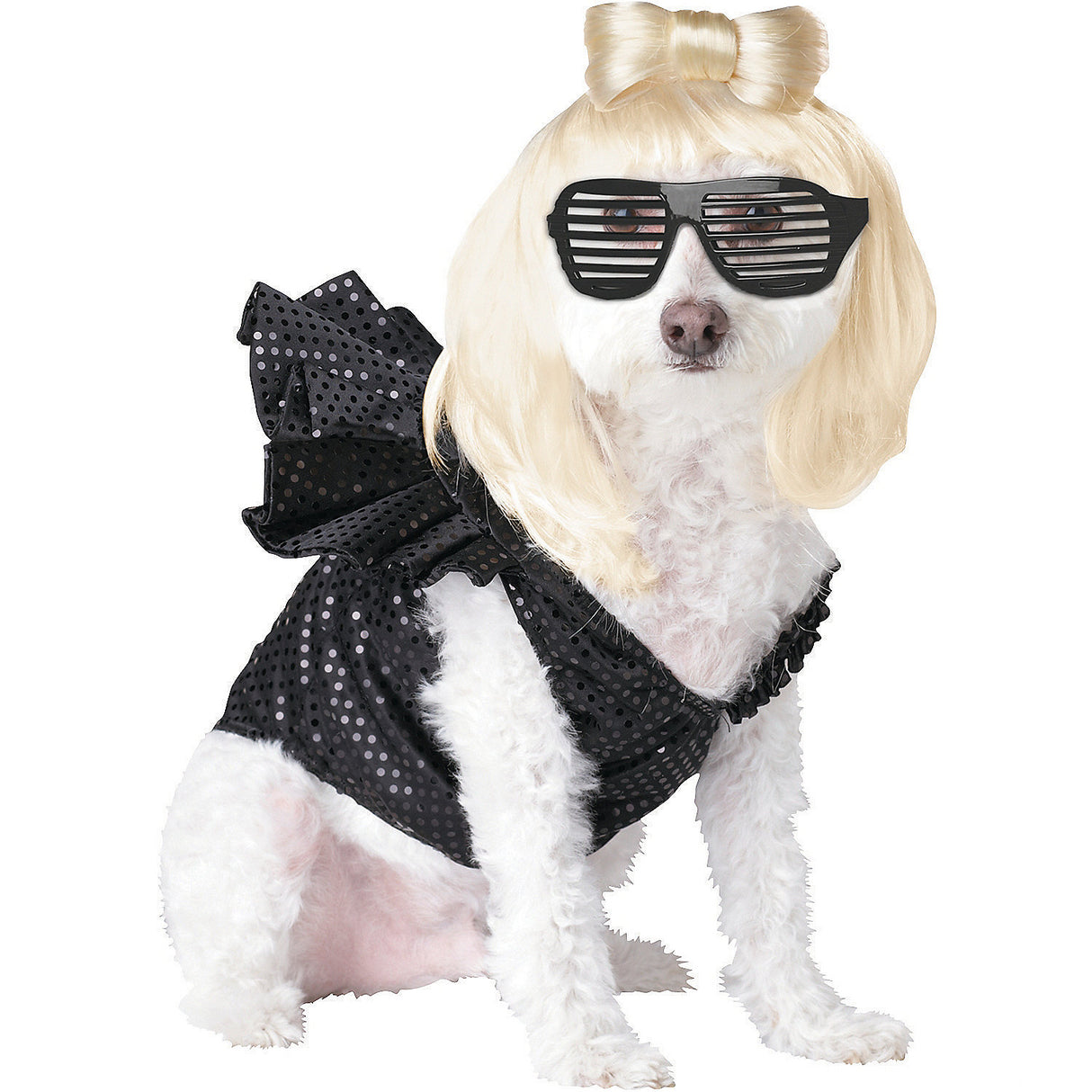 Stylish Pop Sensation Pet Costume for Halloween Celebrations and Pet Parties