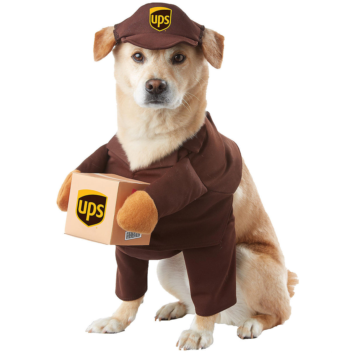 UPS Pet Pal Large for Pet Costumes Halloween Parties and Fun Themed Events