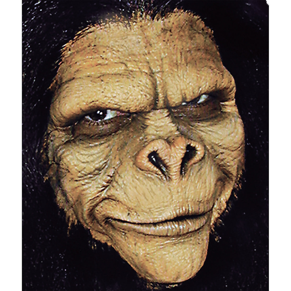 High Quality Ape Man Foam Latex Prosthetic for Halloween and Theatrical Makeup Effects