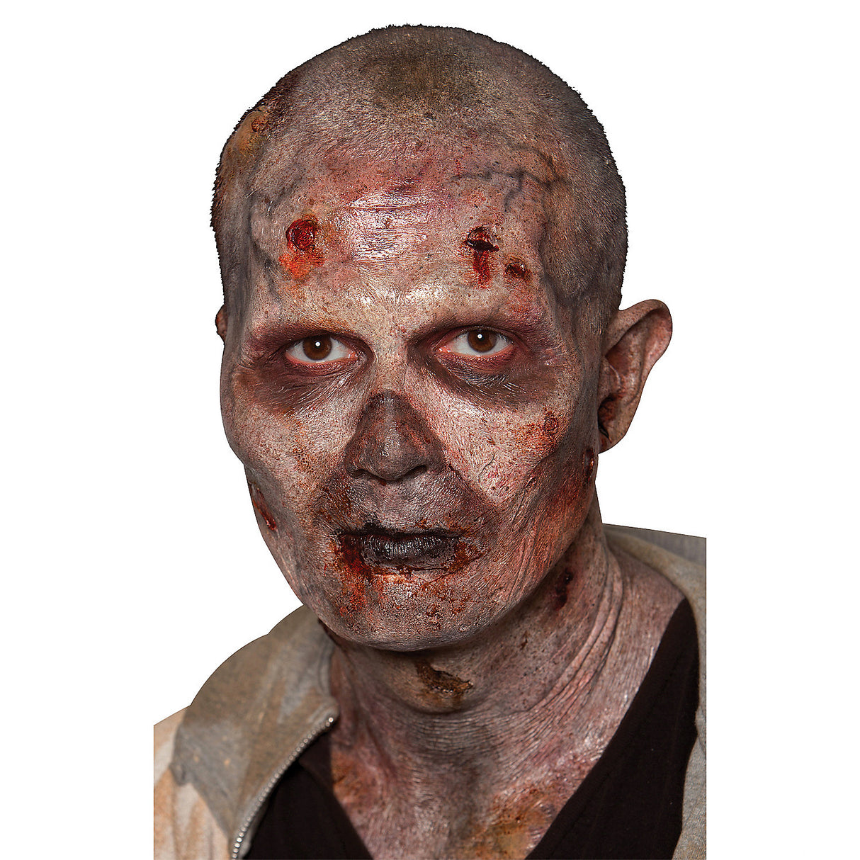 Professional Stage 2 Zombie Foam Prosthetic for Halloween Costume Makeup and Haunted House Effects