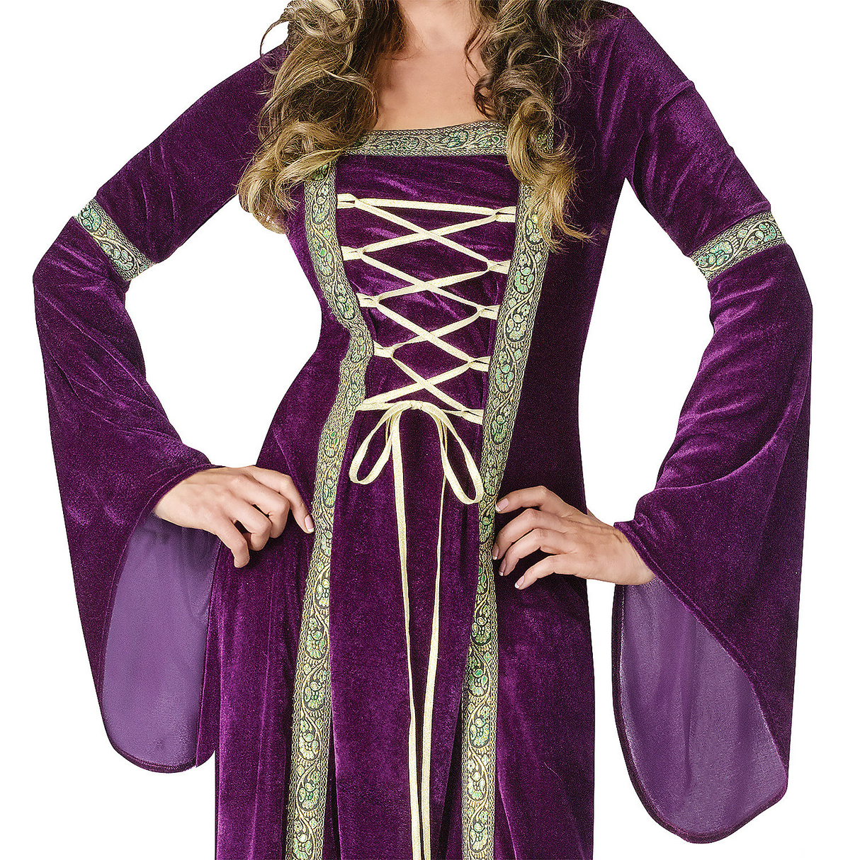 Women's Renaissance Lady Costume