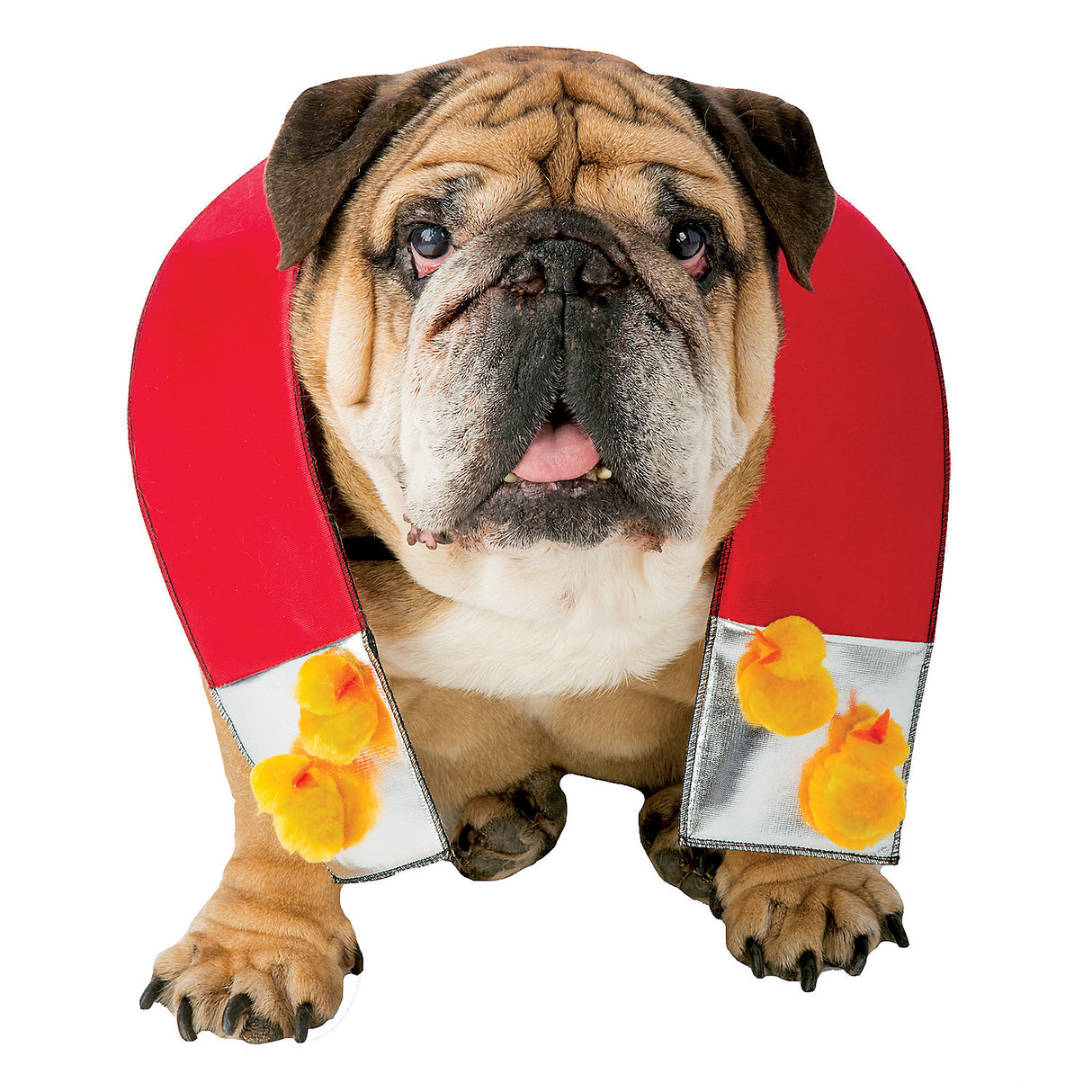 Zelda Chick Magnet Dog Costume for Pets for Fun Dog Park Adventures and Halloween Parties