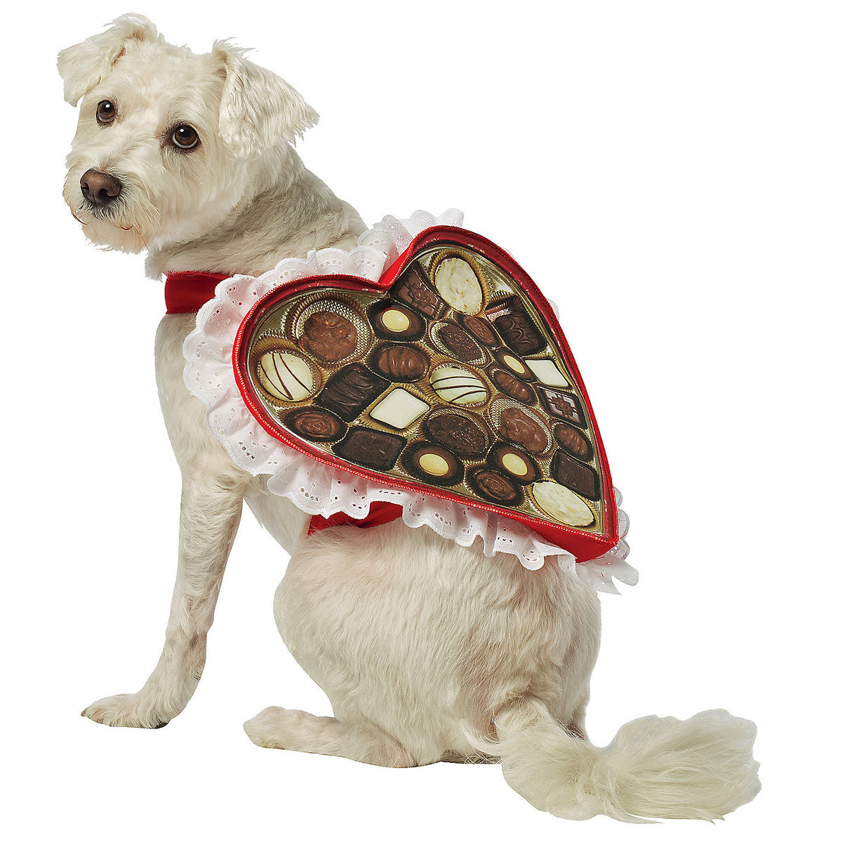 Adorable Chocolate Box Dog Costume for Halloween Parties and Pet Events