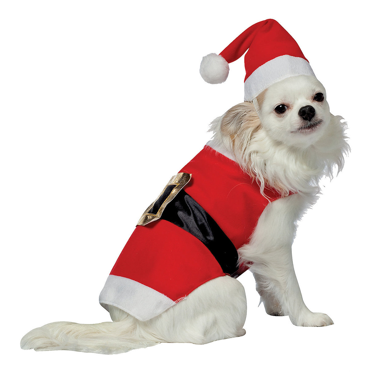 Adorable Pet Costume Santa for Holiday Celebrations and Festive Gatherings