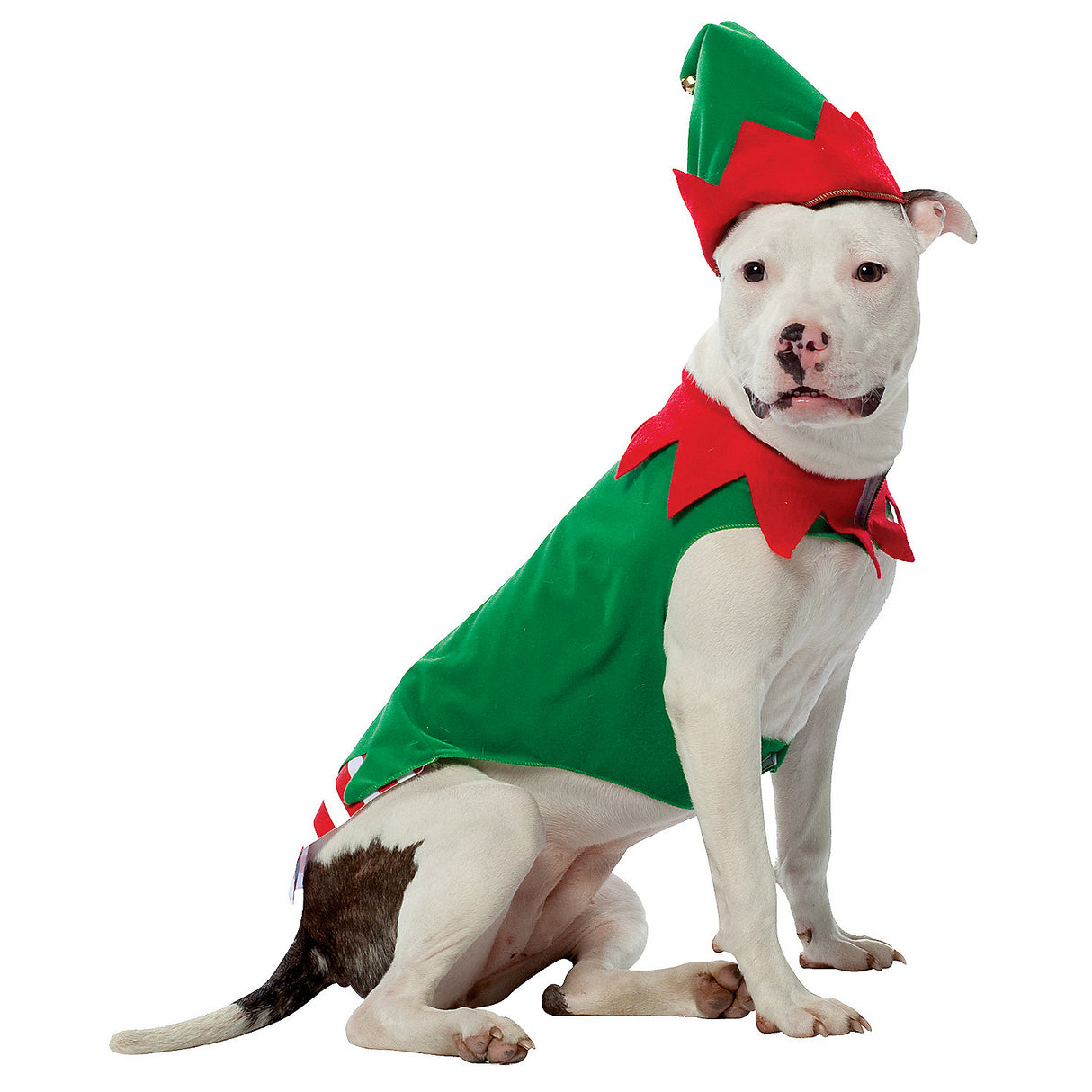 Elf Costume for Pets Perfect for Christmas Holiday Events and Festive Celebrations