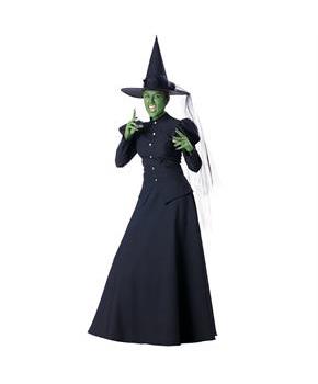 Women’s Wicked Witch Halloween Costume Dress Set with Hat