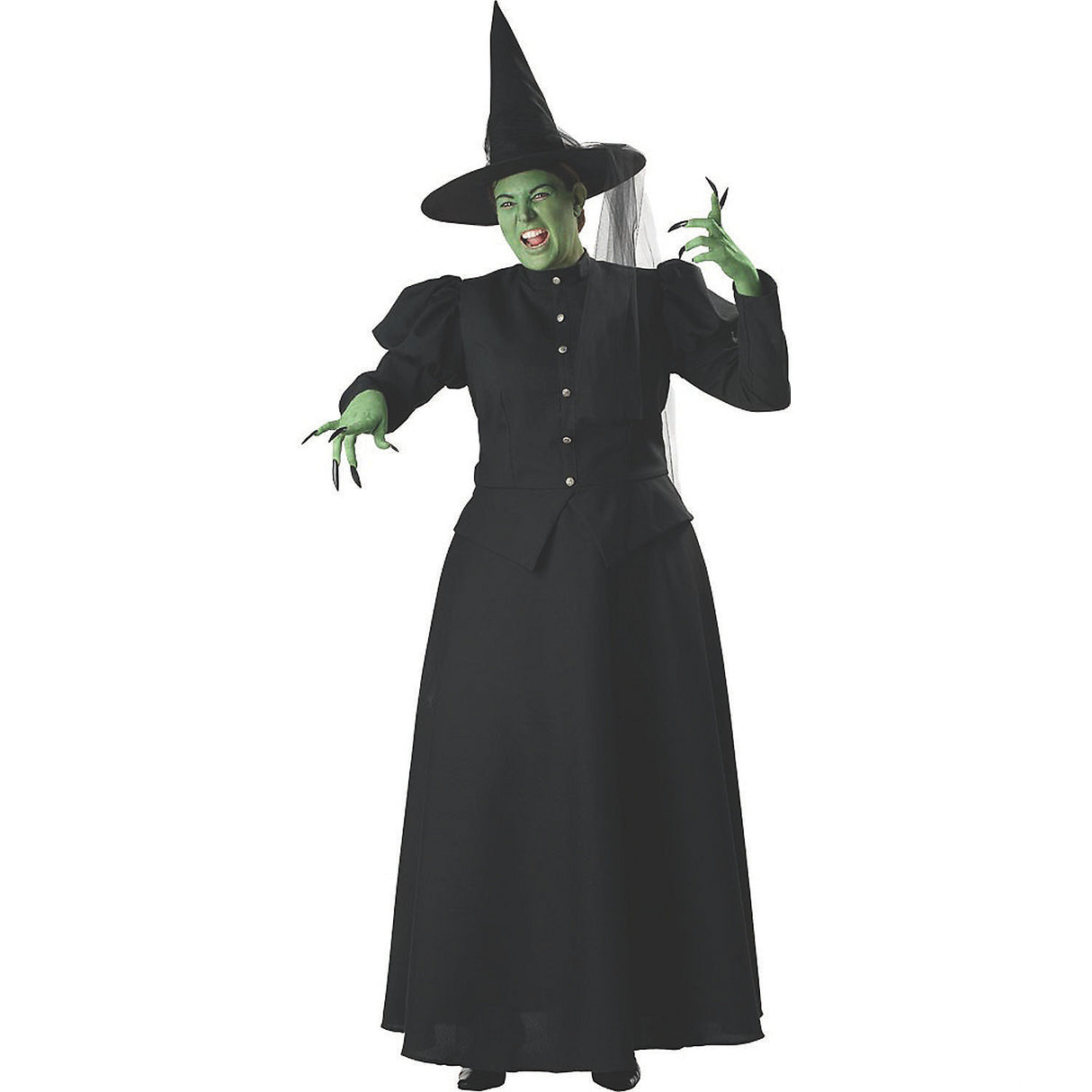 Wicked Witch Plus Size Costume for Halloween Parties Themed Events and Group Dress Ups