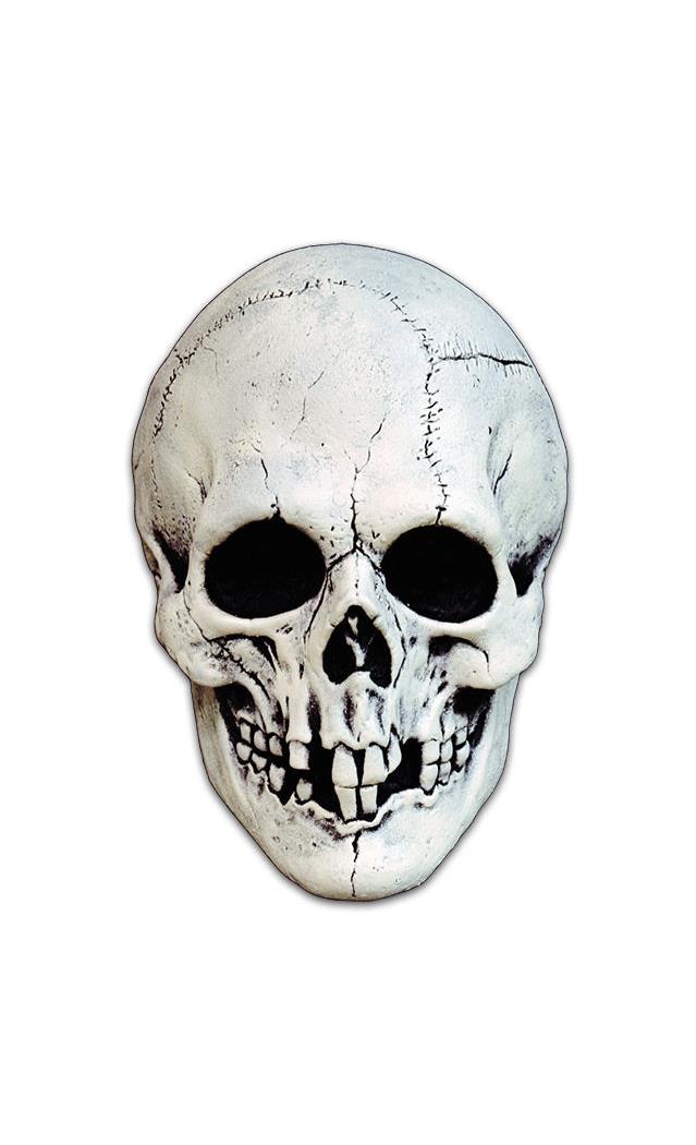Terrifying Night Owl Skull Mask for Halloween Parties and Horror Events
