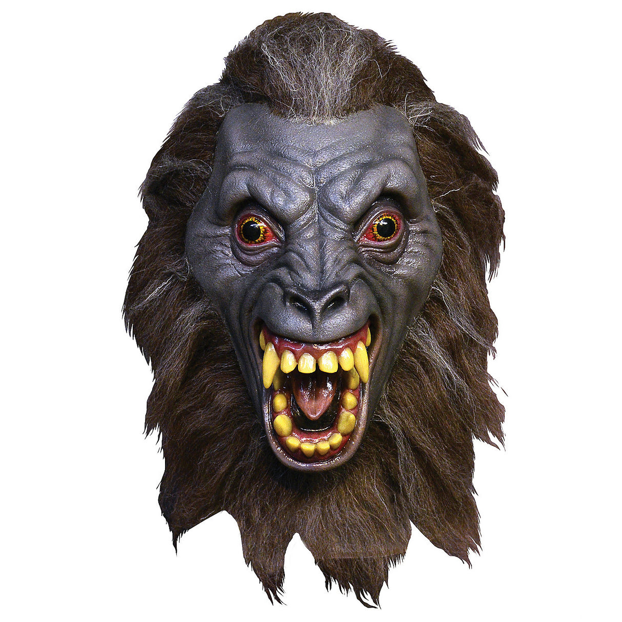 Authentic American Werewolf in London Mask for Halloween Parties Costume and Horror Film Enthusiasts