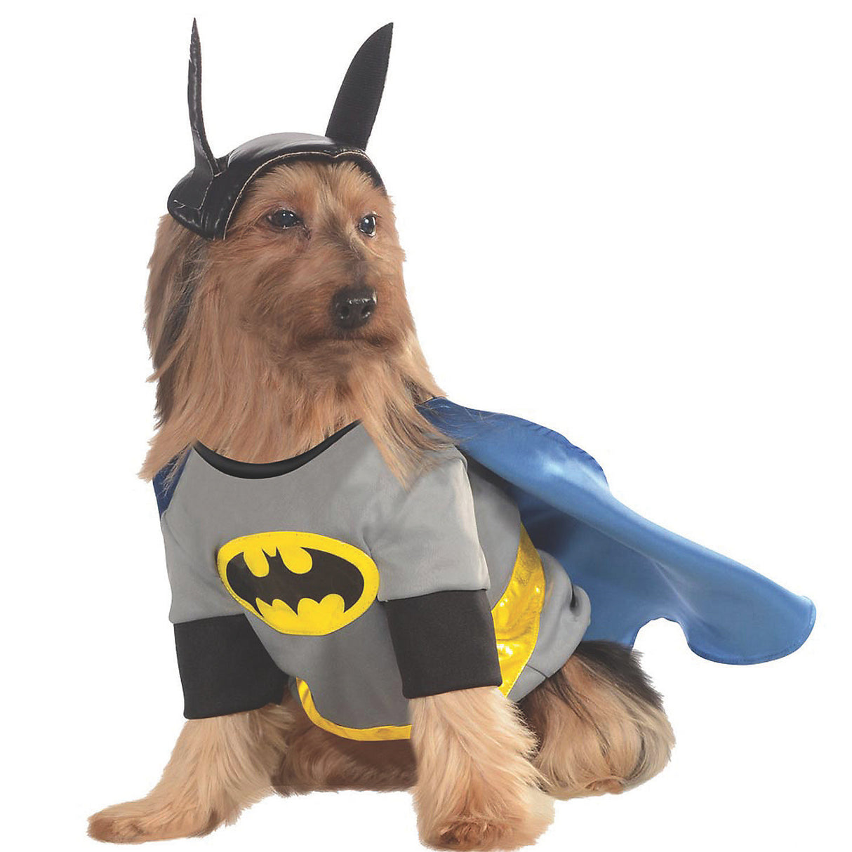 Batman Pet Costume for Dogs for Halloween Parties Parades and Fun Dress Up Events