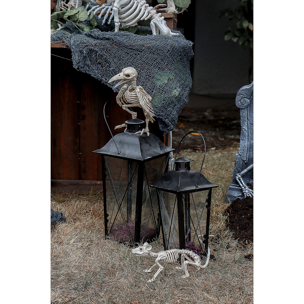 Skeleton Raven Halloween Decoration