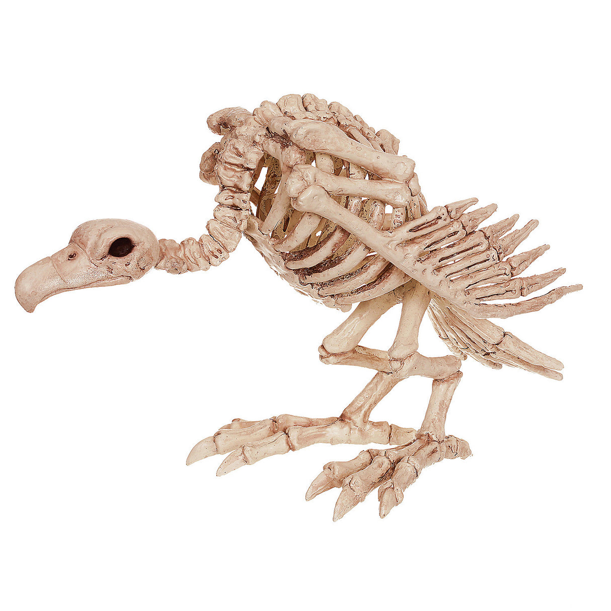 Realistic Skeleton Vulture Decoration for Halloween Parties and Haunted House Displays