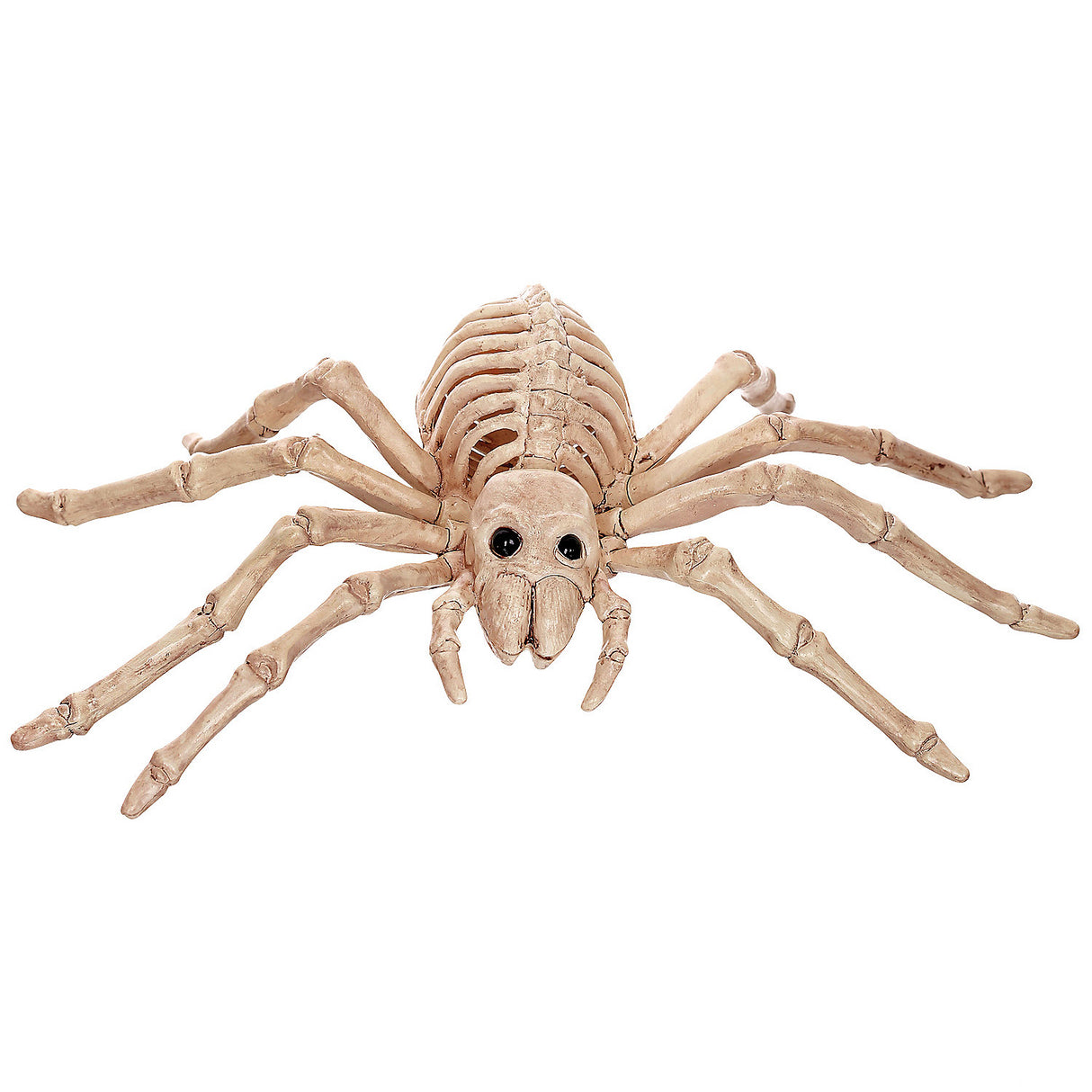 Authentic Skeleton Spider for Halloween Decor and Spooky Themed Parties