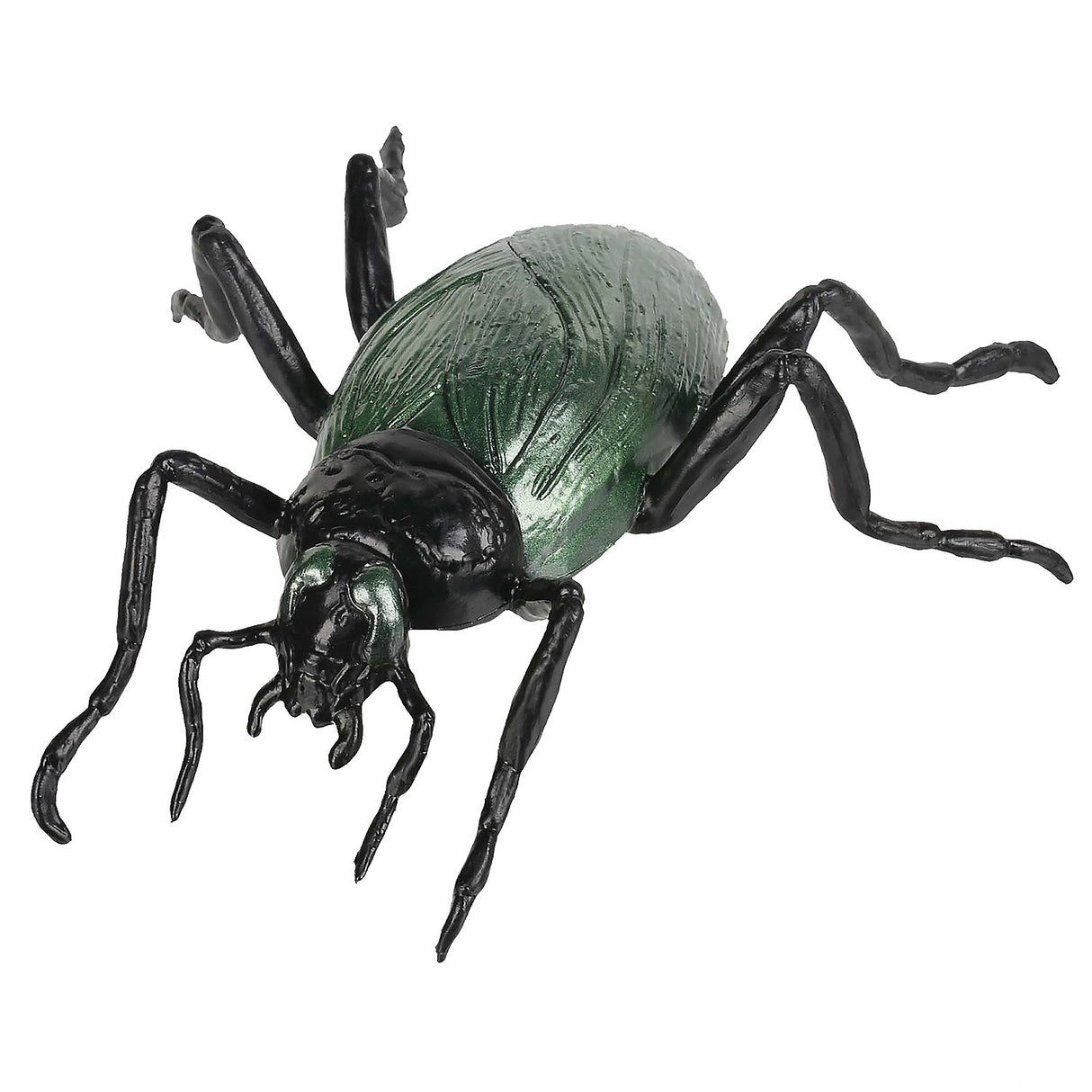 Realistic Cockroach Prop for Halloween Decorations Themed Events and Parties