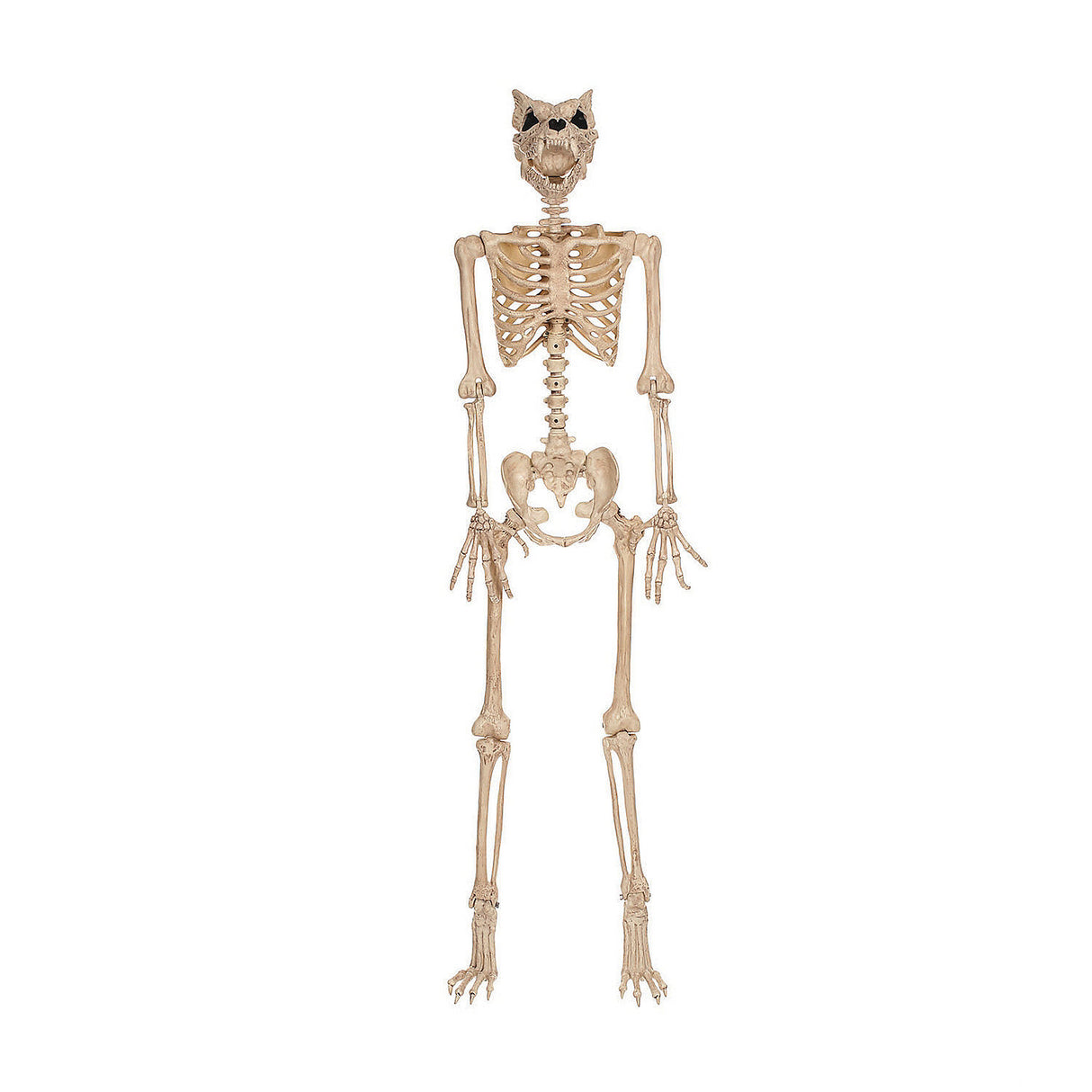 Life Sized Werewolf Pose N Stay Halloween Decoration for Creepy Displays and Haunted Houses