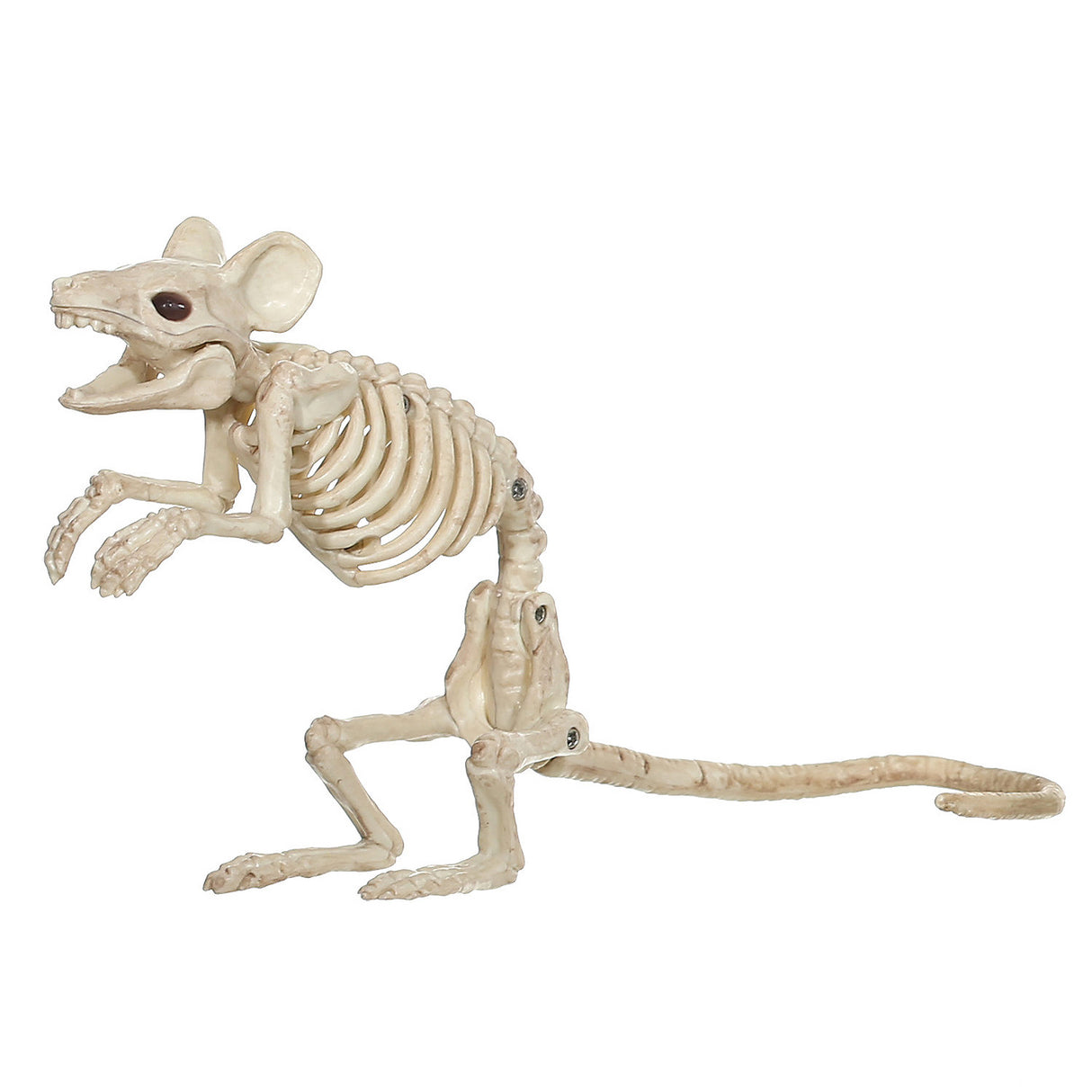 Realistic Mouse Standing Skeleton for Halloween Decorations Themed Parties and Haunted Scenes