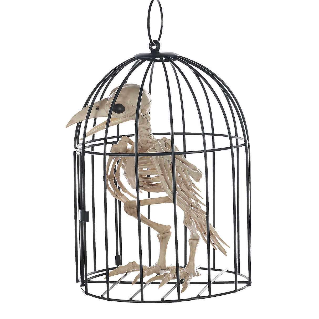 Skeleton Crow in Cage