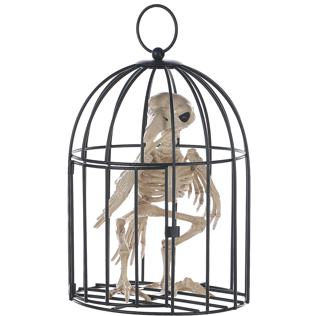 Skeleton Crow in Cage