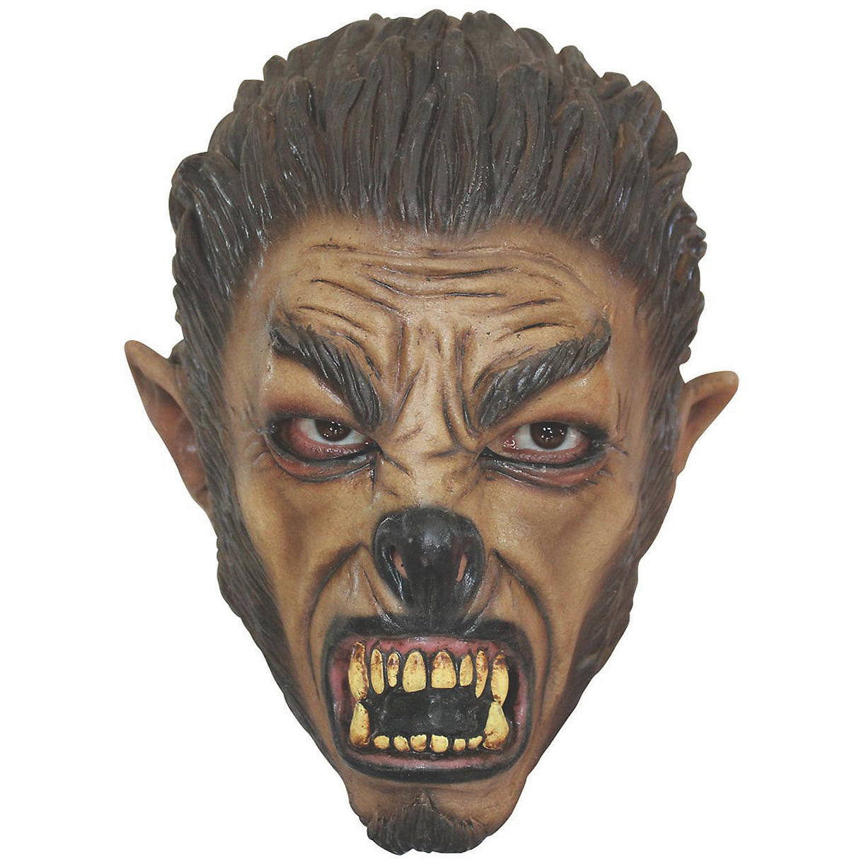 Child Sized Wolf Mask for Halloween Costumes Parties and Trick or Treating Fun