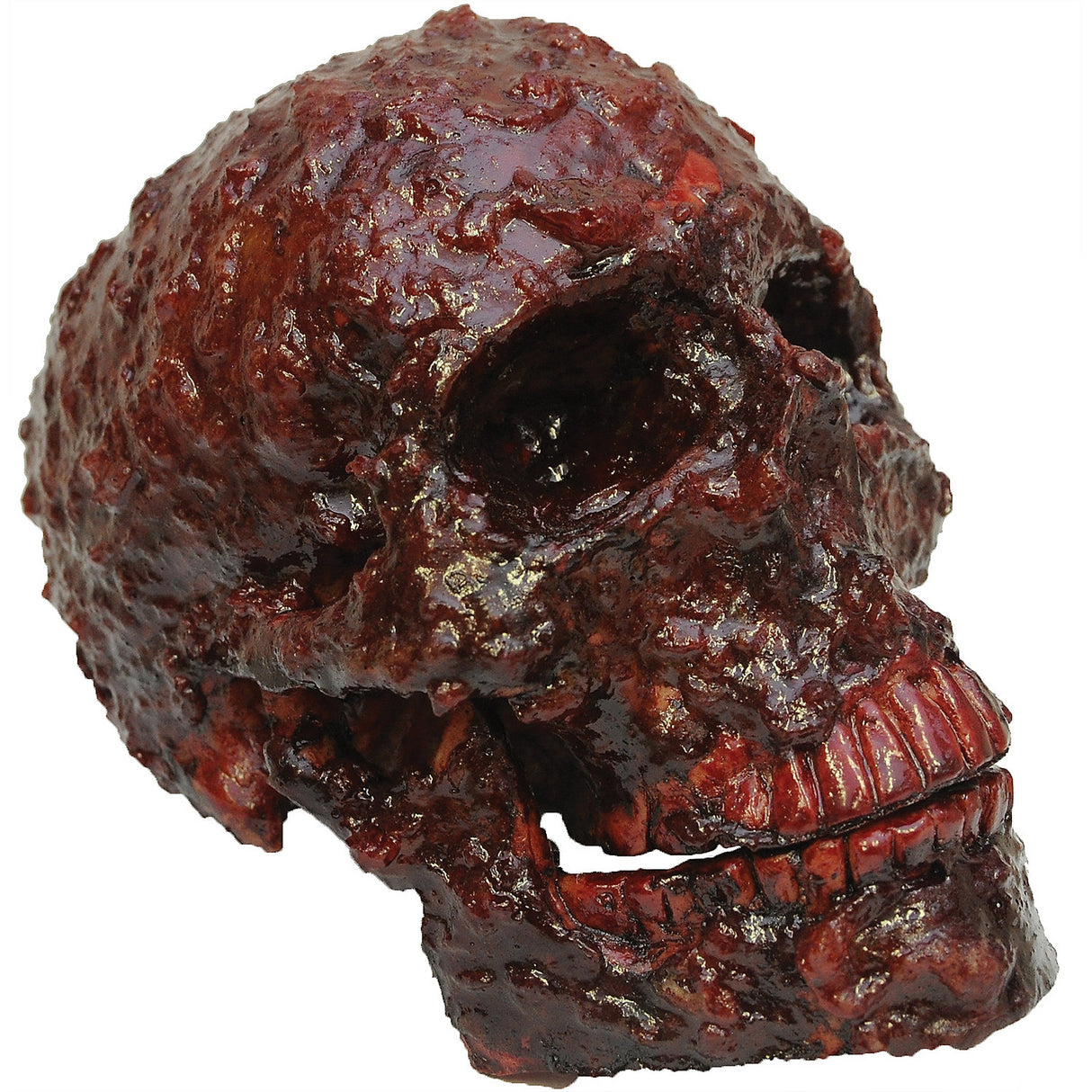 Realistic Bloody Scabs Skull Prop for Haunted Displays Halloween Decorations and Creepy Accents