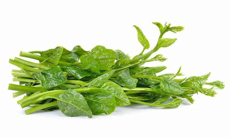 Malabar Spinach (Pui Shag)