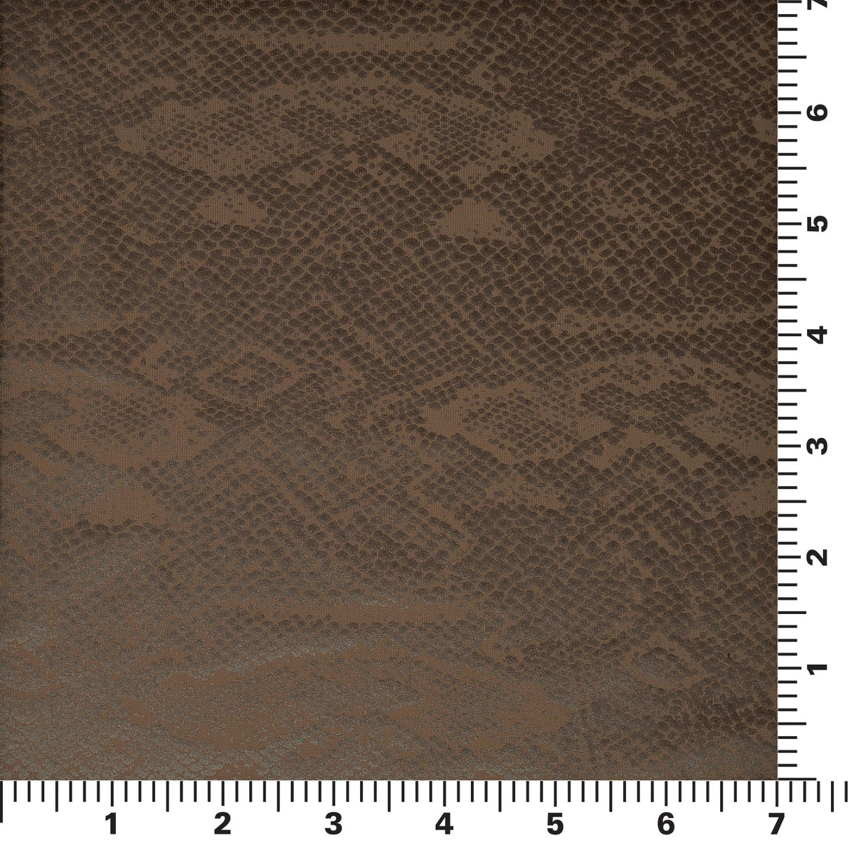 Snake Skin Foil Printed Spandex