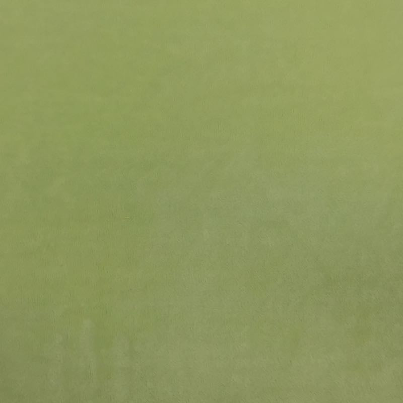 Asparagus Solid Minky Fabric,