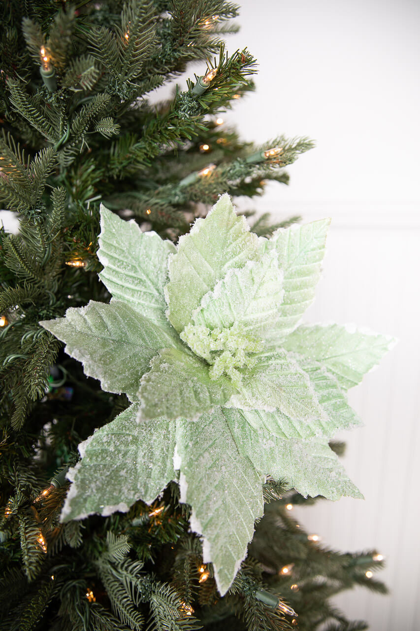 20” x 14" Mint Sugared Poinsettia Stem