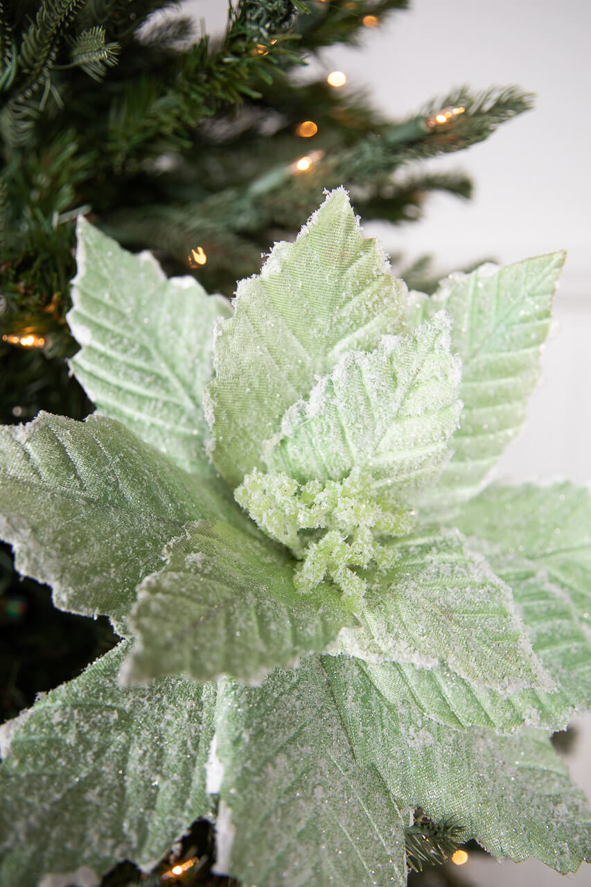 20” x 14" Mint Sugared Poinsettia Stem