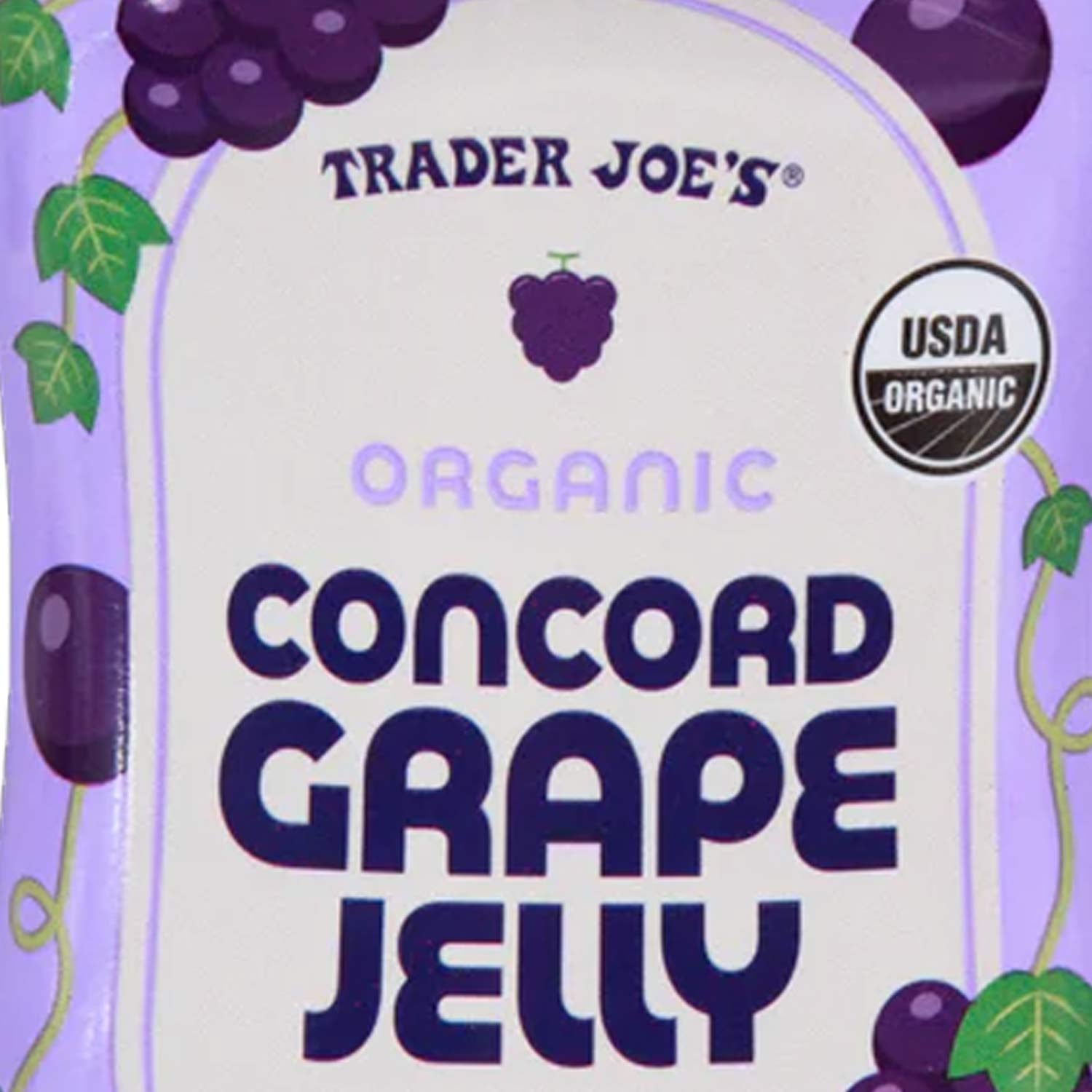 Organic Concord Grape Jelly 20 oz Sweet & Fruitful
