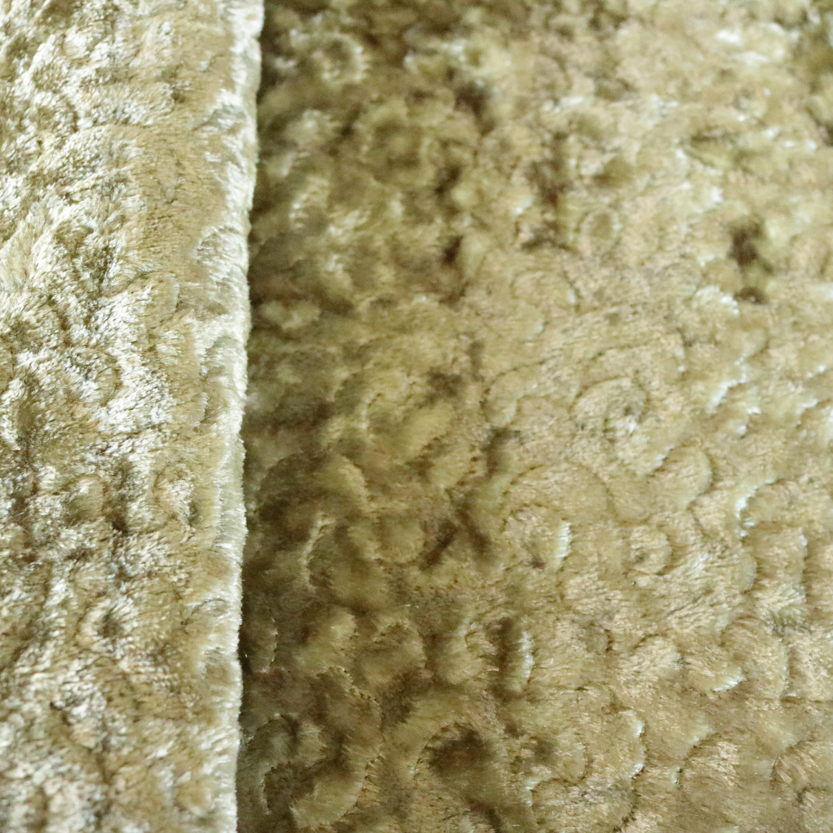 Metallic Panne Velvet Embroidered Fabric