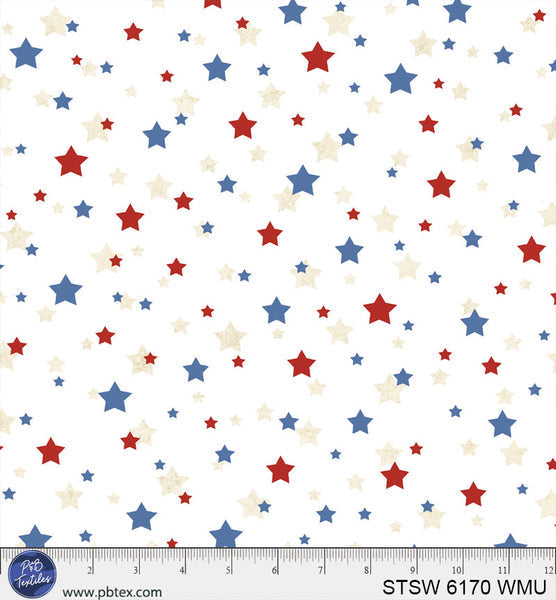 Cotton Wideback Fabric Multi Star Spangled 108"