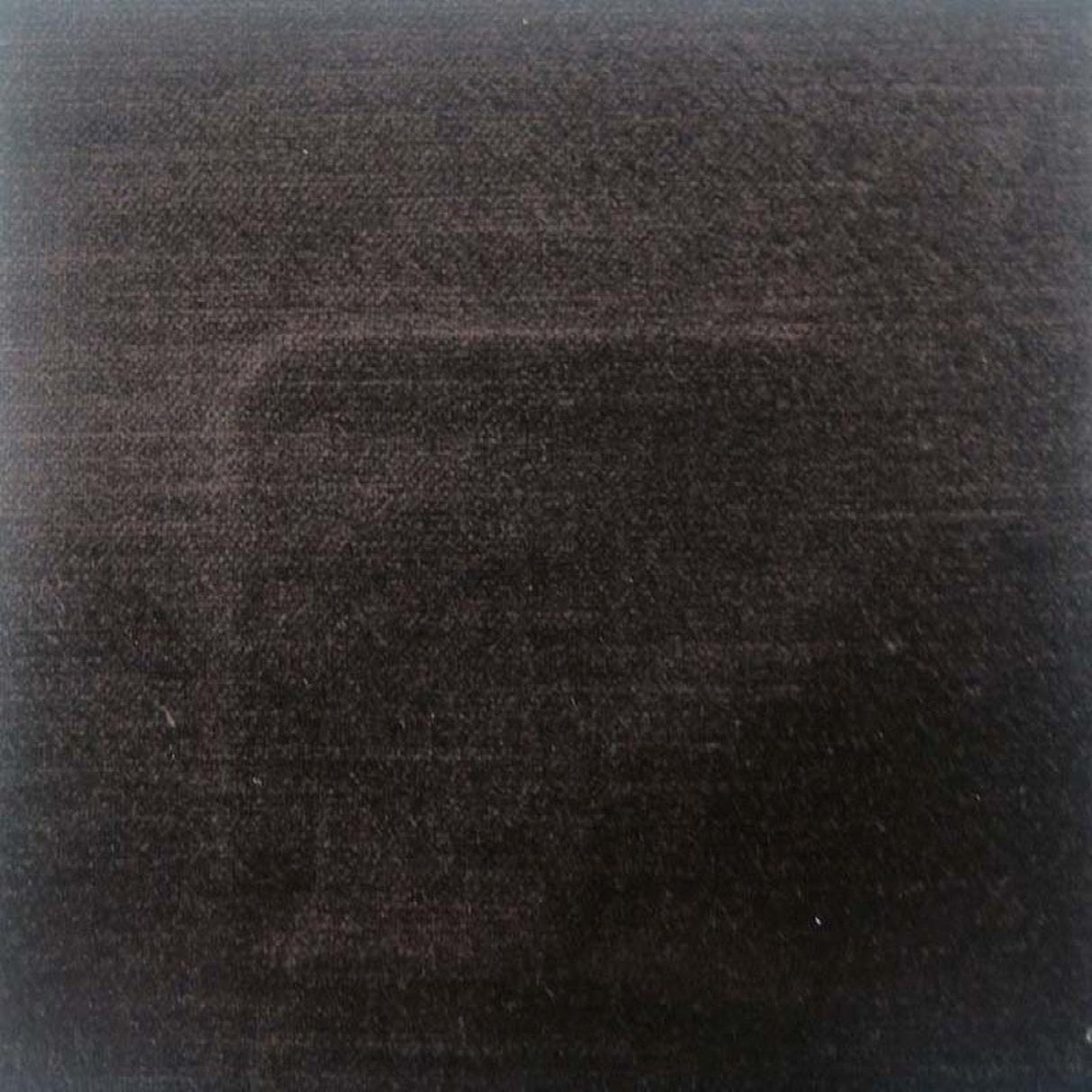 Namur Solid Textured Velvet Fabric - Solid Textured Velvet, 55" Width (1 Yard)