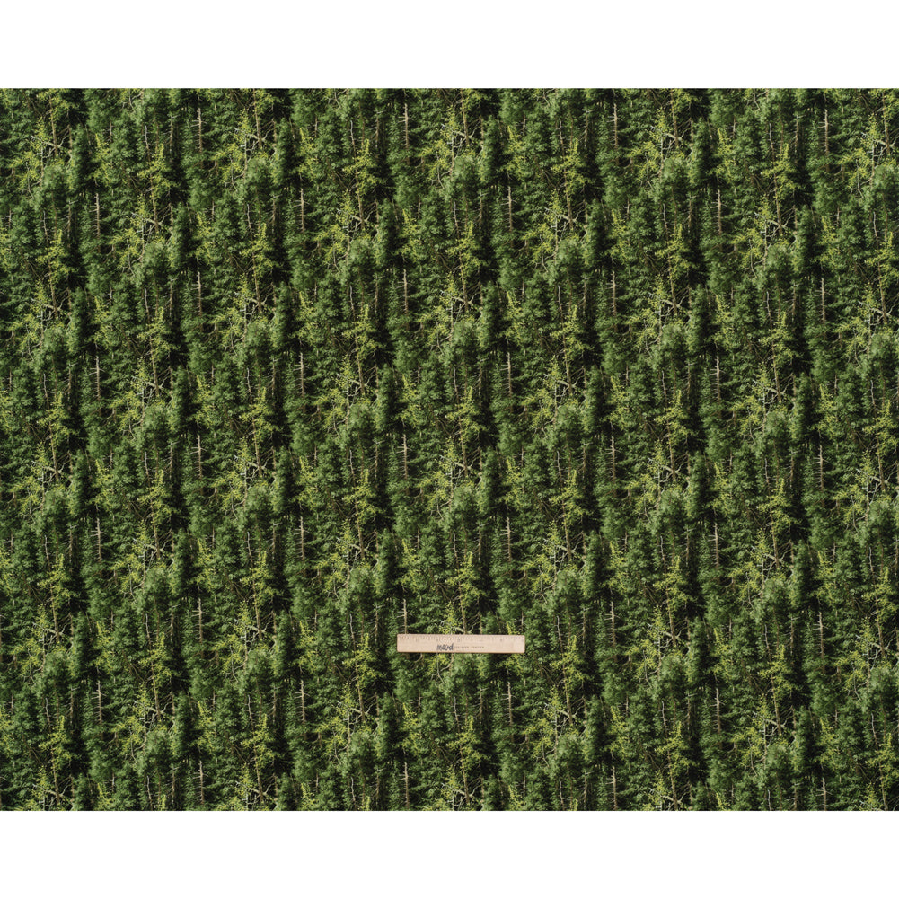 Printed Quilting Cotton by Northcott Studio - Mid Green Evergreen Trees - Naturescapes Collection