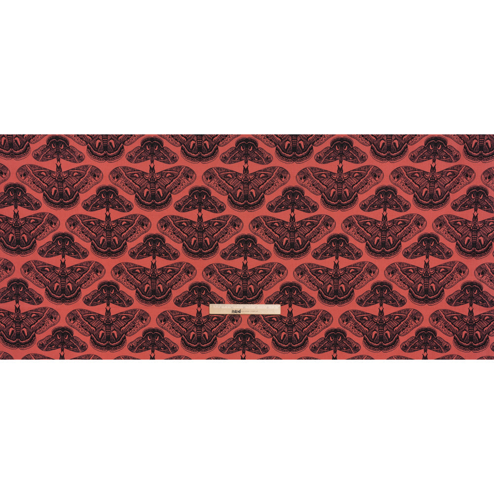 Printed Quilting Cotton by Anna Maria Textiles for Northcott - Guava Cecropia Moths - Indelible Ink Collection