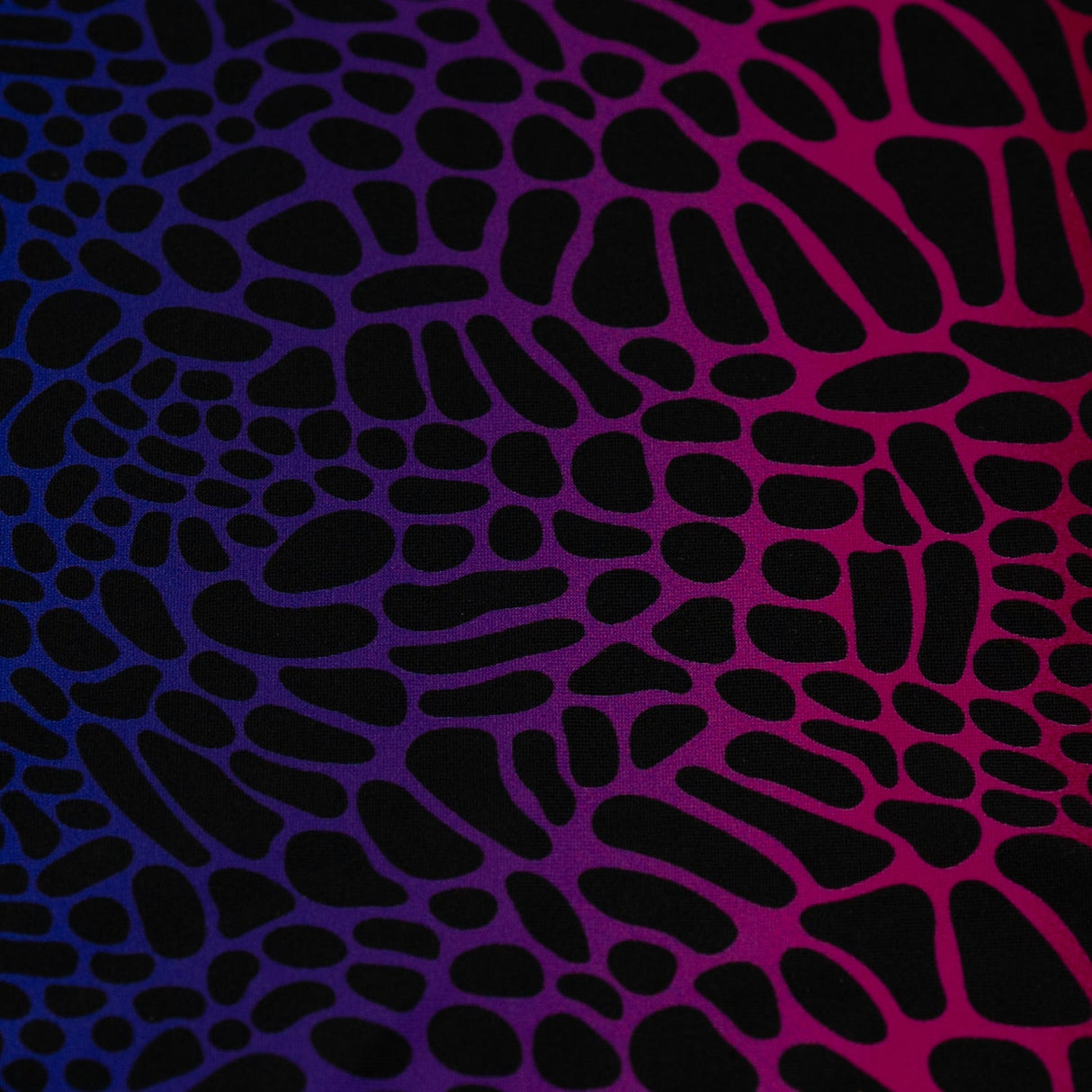 Printed Spandex Fabric Multicolor Safari Spots