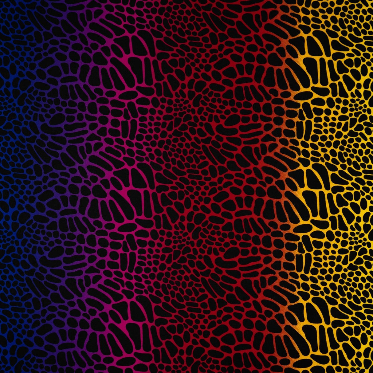 Printed Spandex Fabric Multicolor Safari Spots