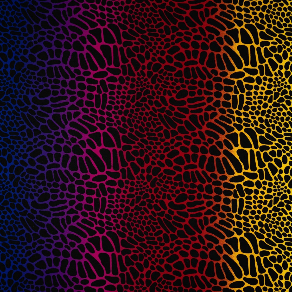 Multicolor Safari Spots Printed Nylon Spandex Fabric - Multicolor Safari Spots, 55/56" Width (1 Yard)