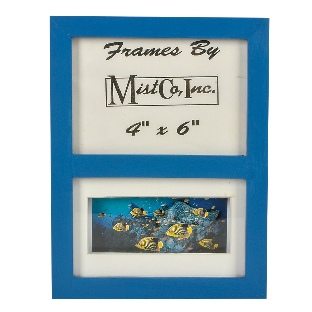 Fish Frame 4"x6" Sargeant Major (36 Pc)