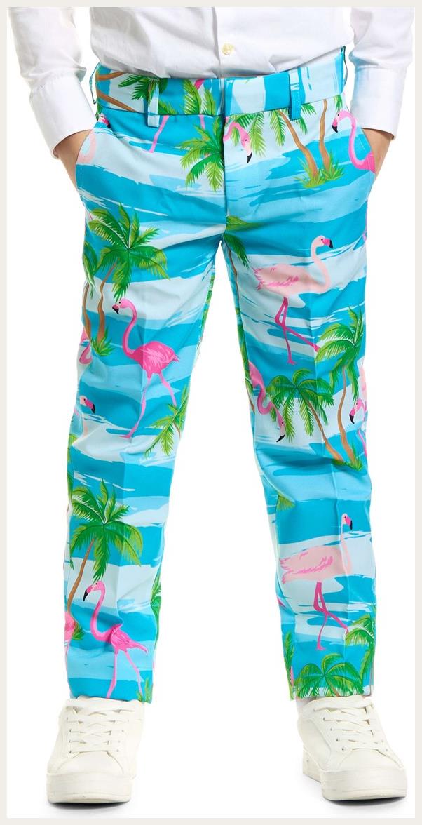 Adorable OppoSuits Boys Flaminguy for Special Occasions Birthday Parties and Dress Up Fun