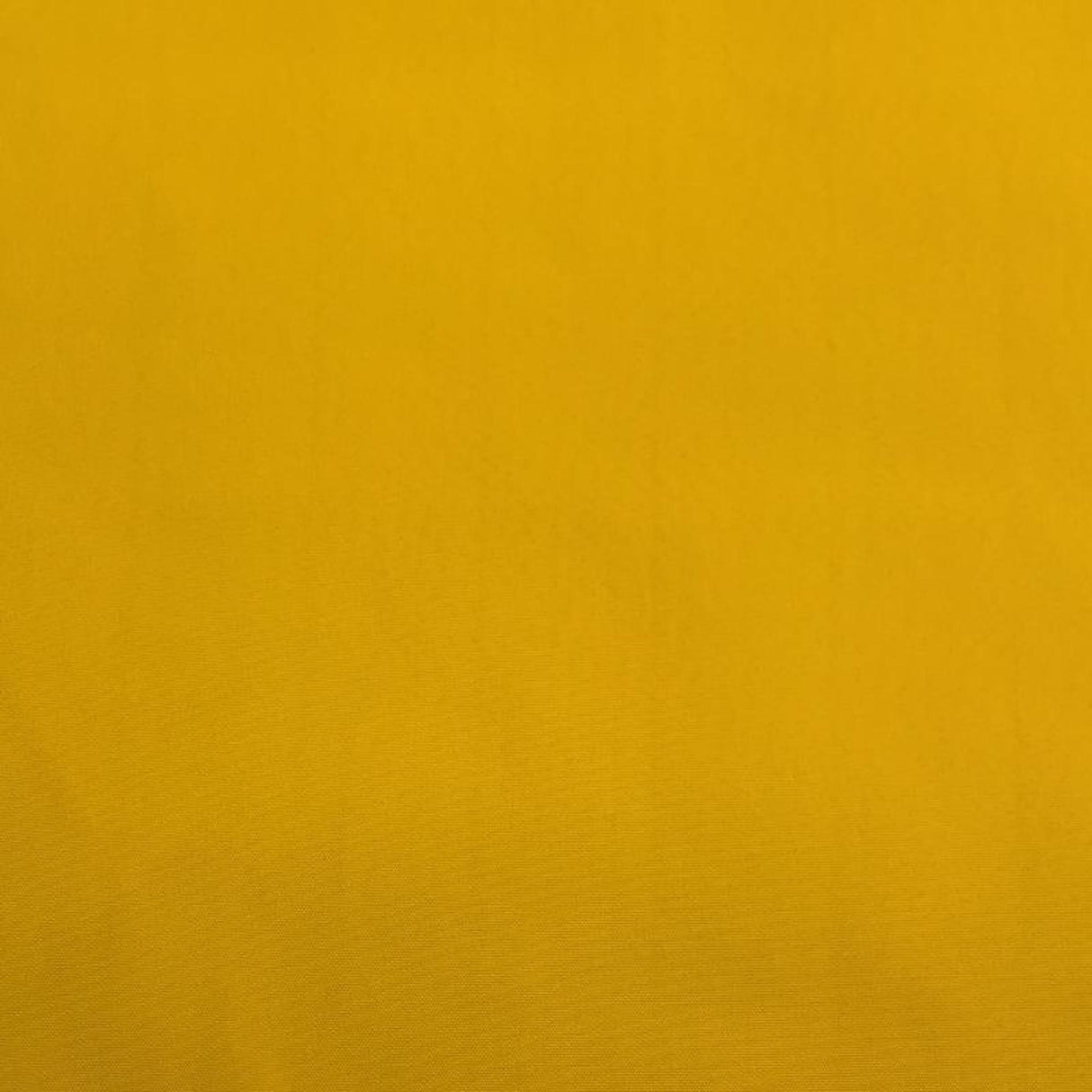 Cabo Solution Dyed Polypropylene Fabric - Solid Outdoor Upholstery Fabric, Aqua, 62" Width (1 Yard)