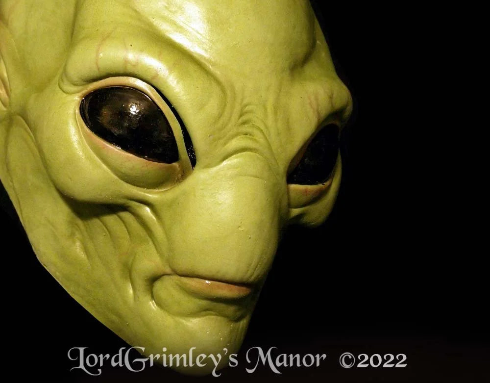 The Visitor - Green Alien Mask