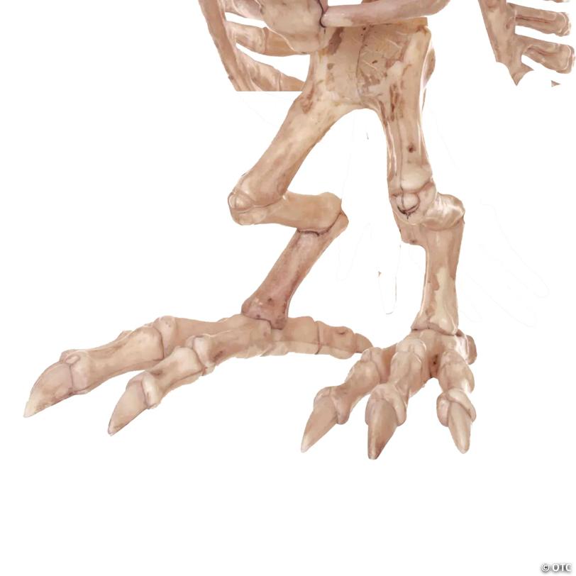 Owl Skeleton Halloween Decoration - 13"