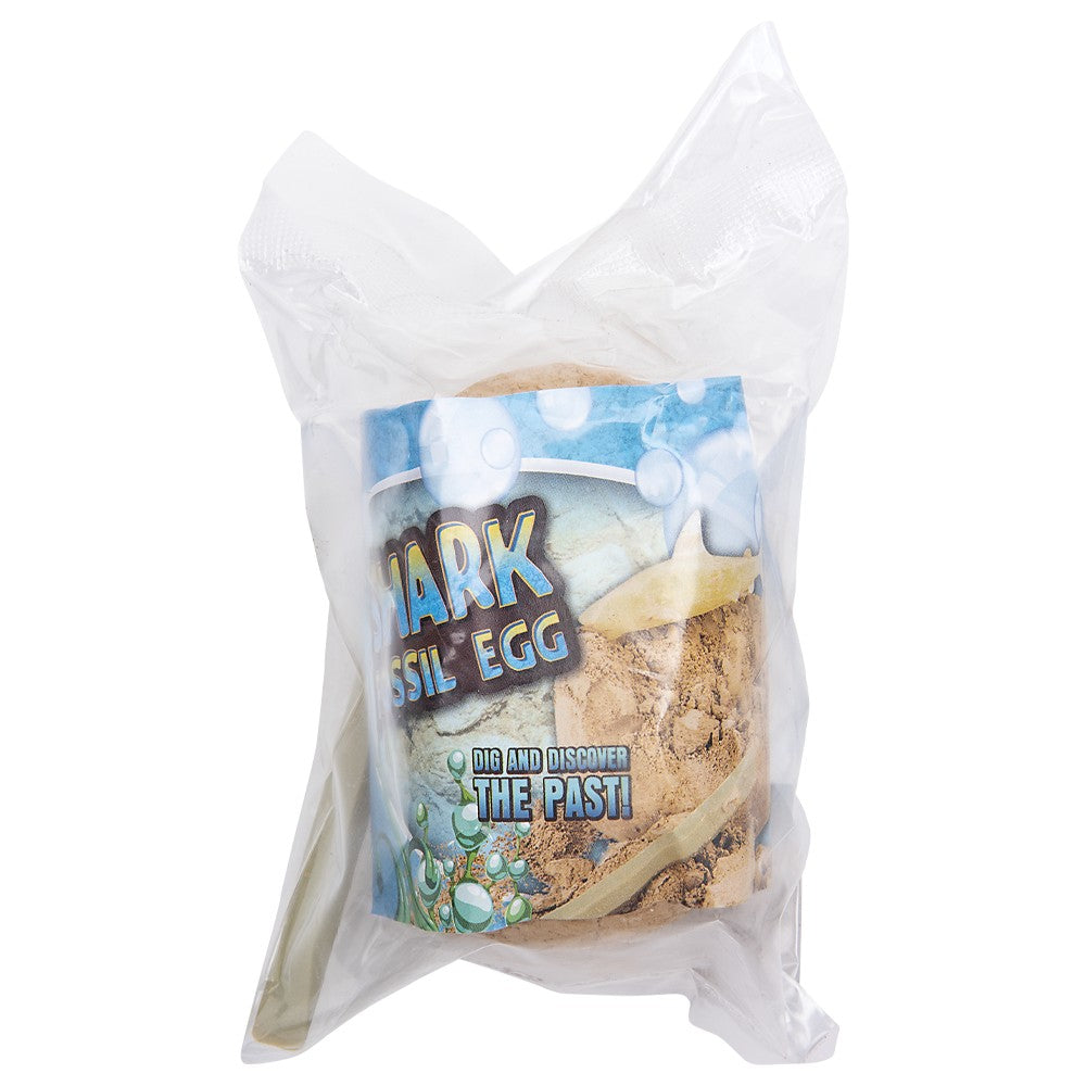 Shark Fossil Egg Dig Set (12 PC Display)