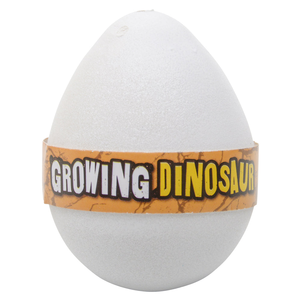 Growing Dinosaur Egg (1 DZ)